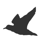 bird_logo